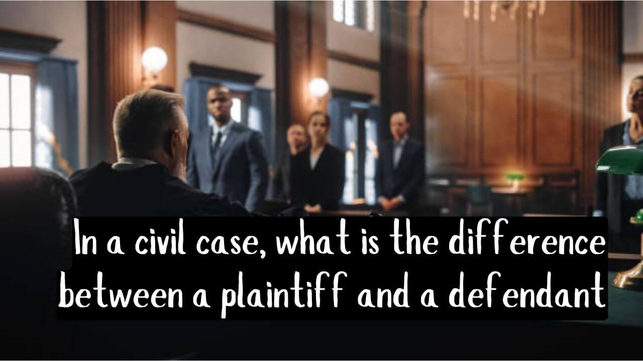 In a civil case, what is the difference between a plaintiff and a defendant