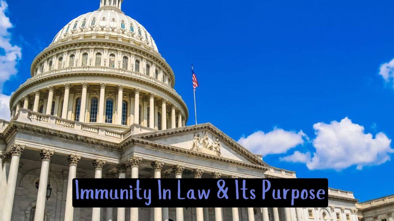 What Is Immunity In Law & Its Purpose https://thelegalstories.com/ the legal stories