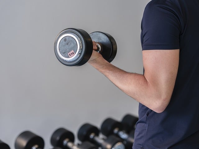 The Ultimate Guide to Building a Balanced Workout Routine: Tips for All Fitness Levels